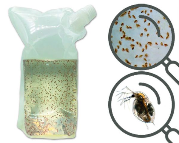 Zooplankton-Mix 500ml